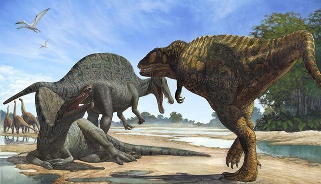 棘龙vs霸王龙, 谁才是真正的陆地霸主! 鲨齿龙有话要说