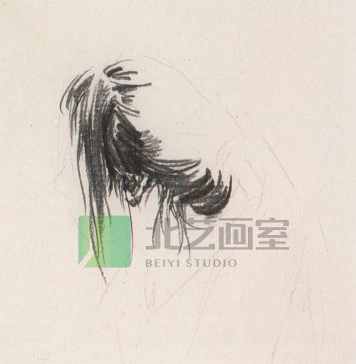 人物速写——侧面女青年头像速写步骤详解