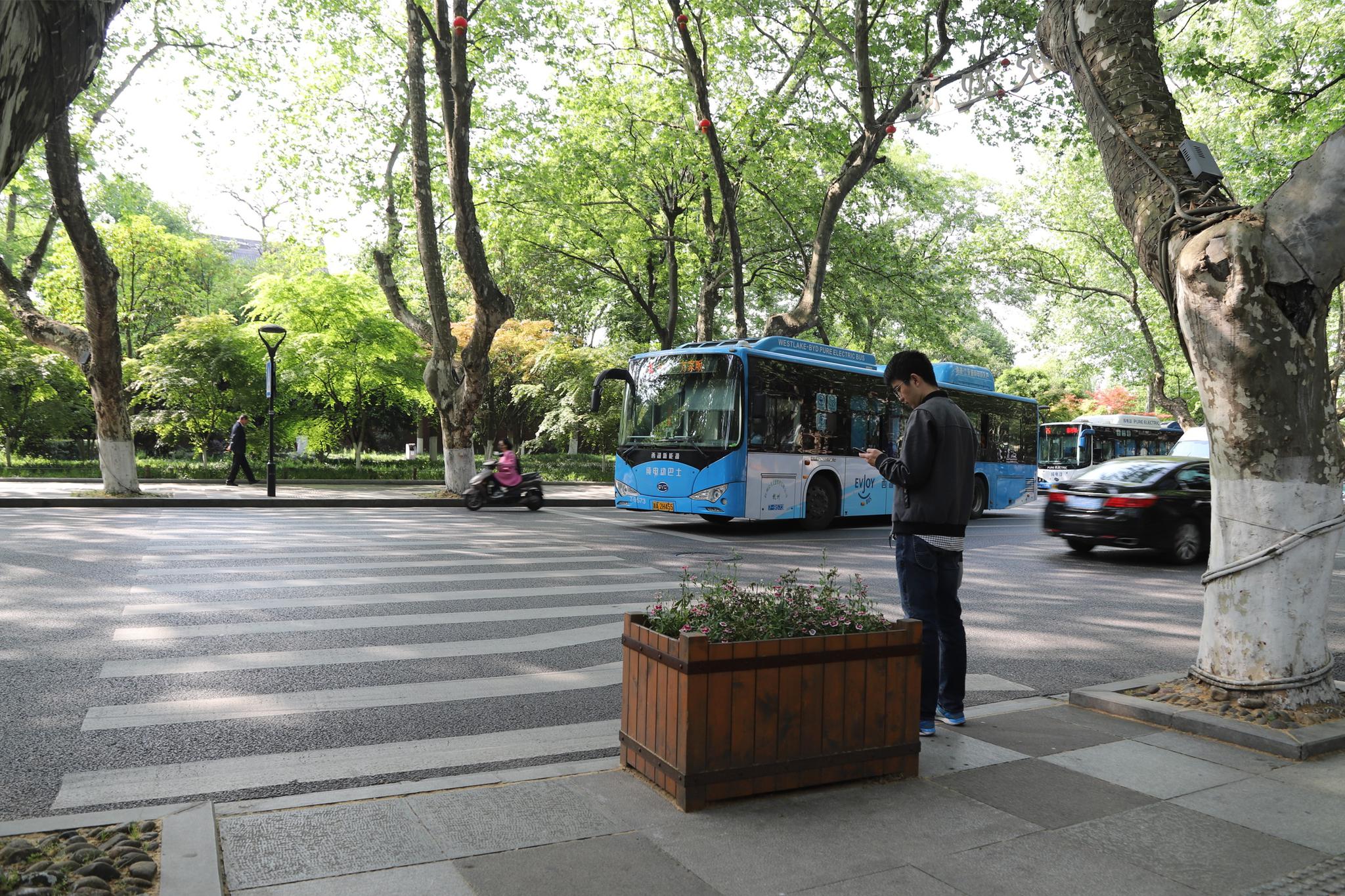 游客路口实拍杭州"车让人",杭州不愧为最好的旅游城市