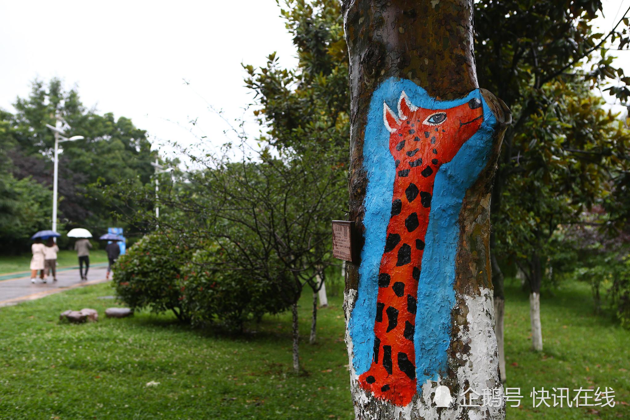 贵阳观山湖公园"树干涂鸦"扮靓城市绿化景观!