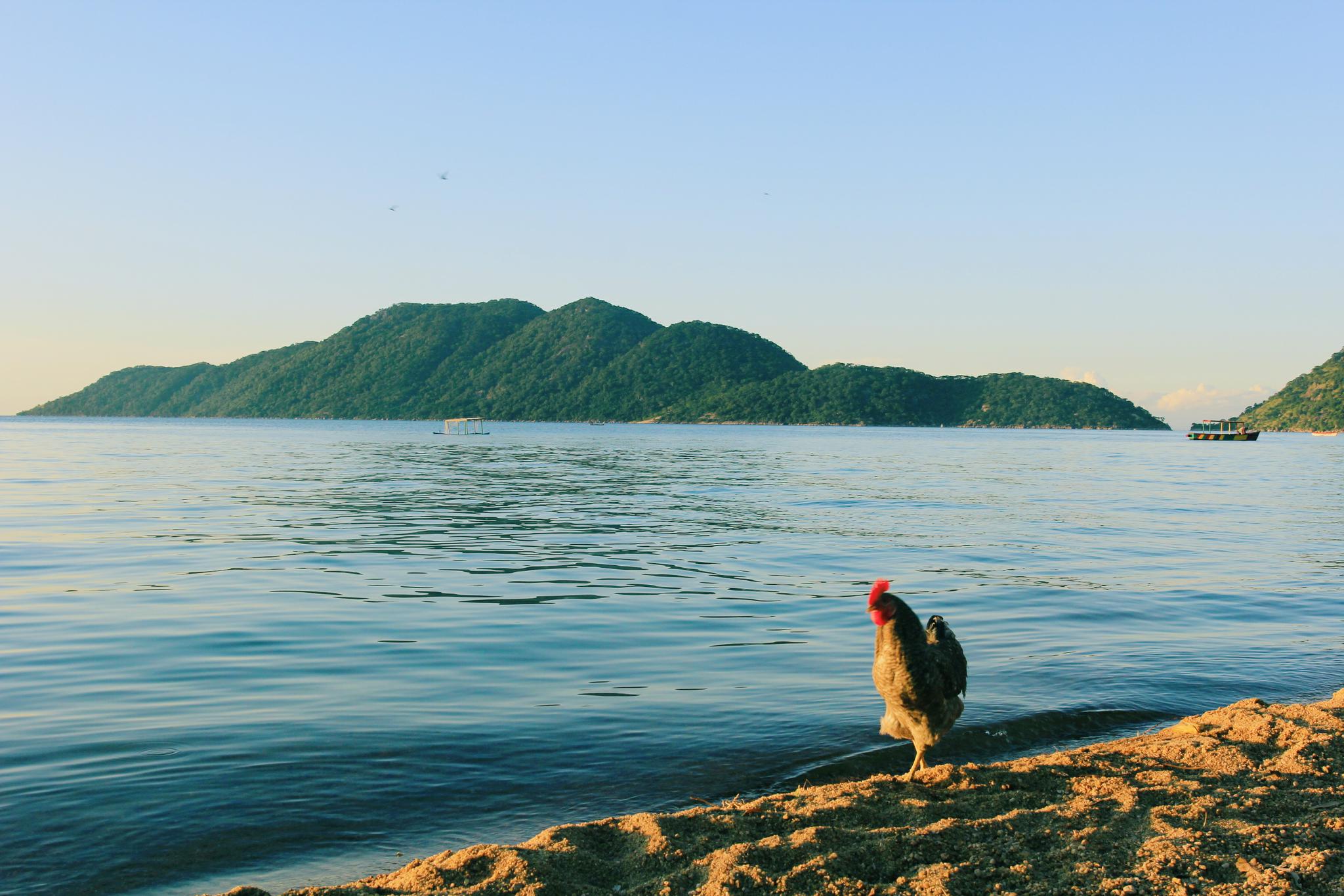 马拉维湖闪耀在东非大裂谷上的一颗明珠