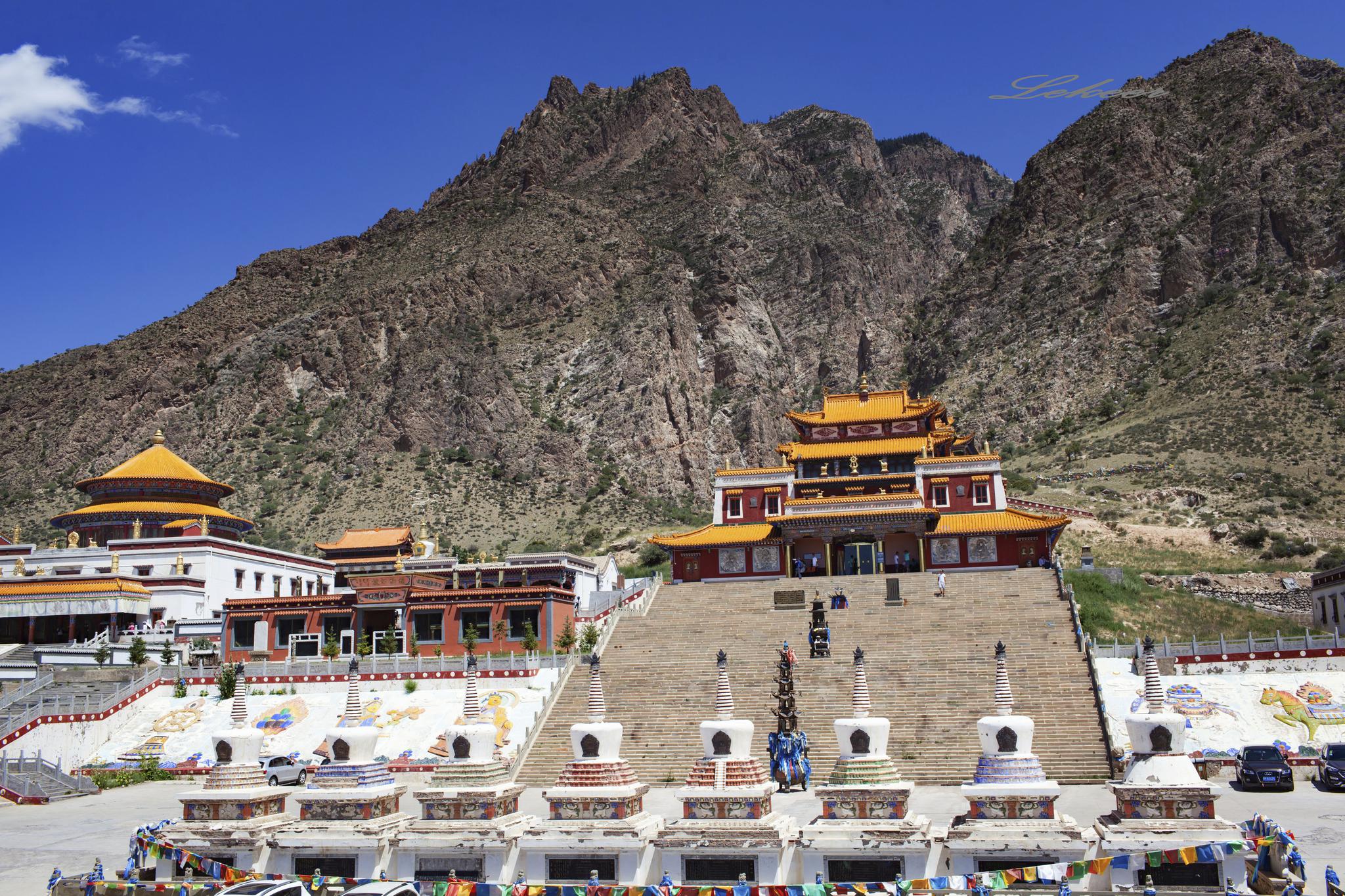 今年的阿拉善盟