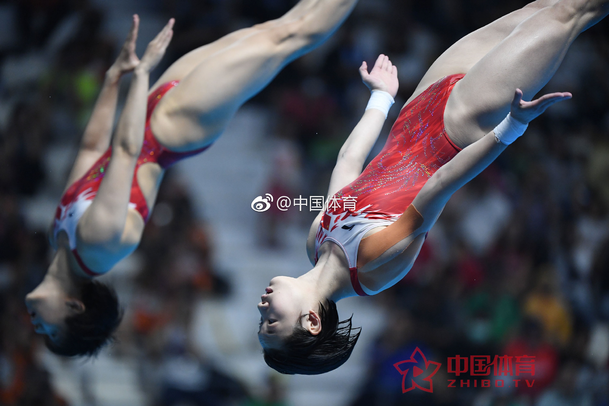 看中国跳水梦之队施廷懋和昌雅妮的神同步上演空中芭蕾