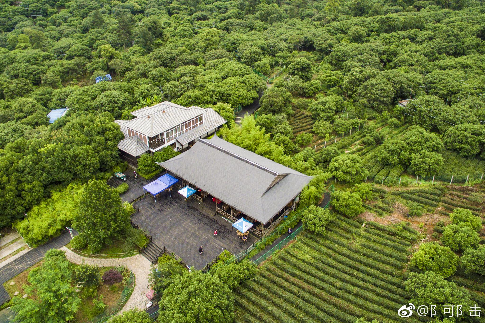 上有天堂,下有苏杭.在苏州一角的树山村,村中有三宝