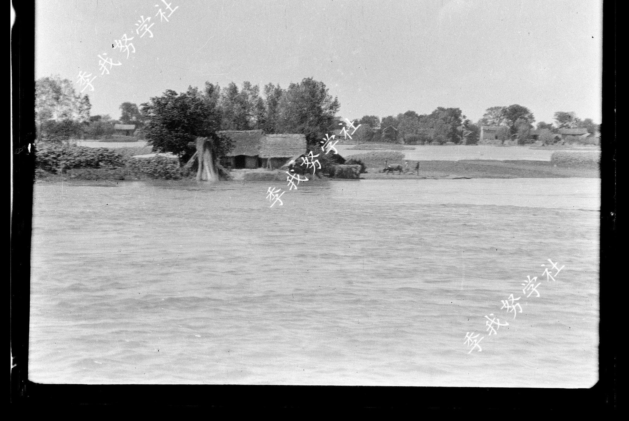 旧中国洪水泛滥组图:村庄遭受没顶之灾 灾民嗷嗷待哺 凄惨