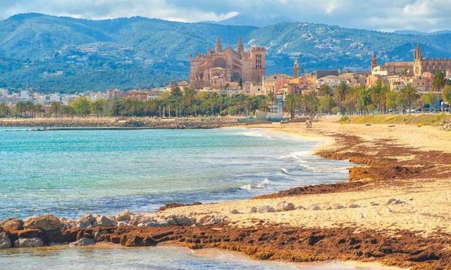 出国旅游:西班牙马略卡岛帕尔马,一个极具吸引力的短暂度假胜地