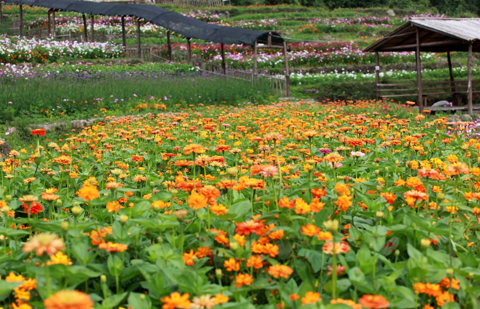 青海省西宁市什么地方有买房车的?