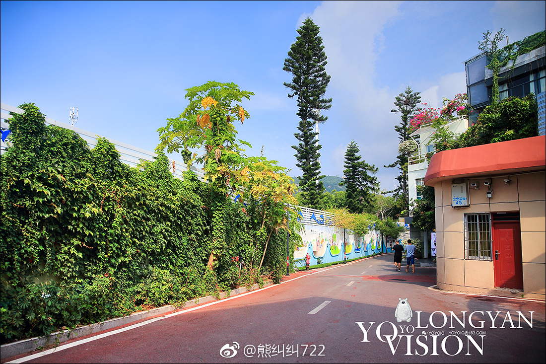 厦门黄厝村是环岛路上一个宁静的小渔村