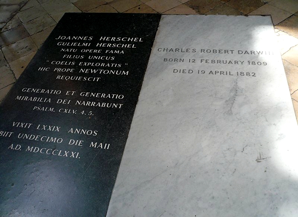 天文学银枪小霸王——约翰·赫谢尔的故事|达尔文|南非|赫谢尔_新浪网