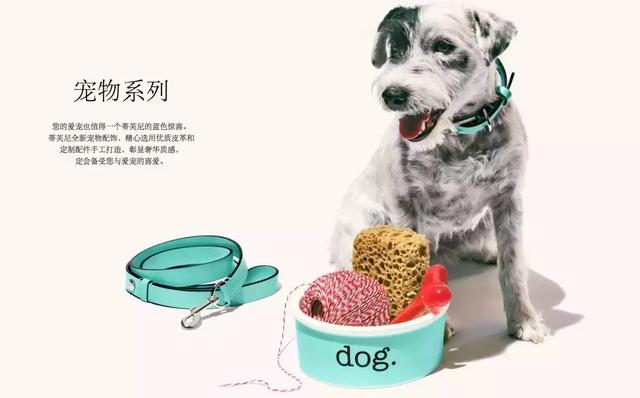 天呐!一双Gucci鞋带4万5,一条红领巾5万4?