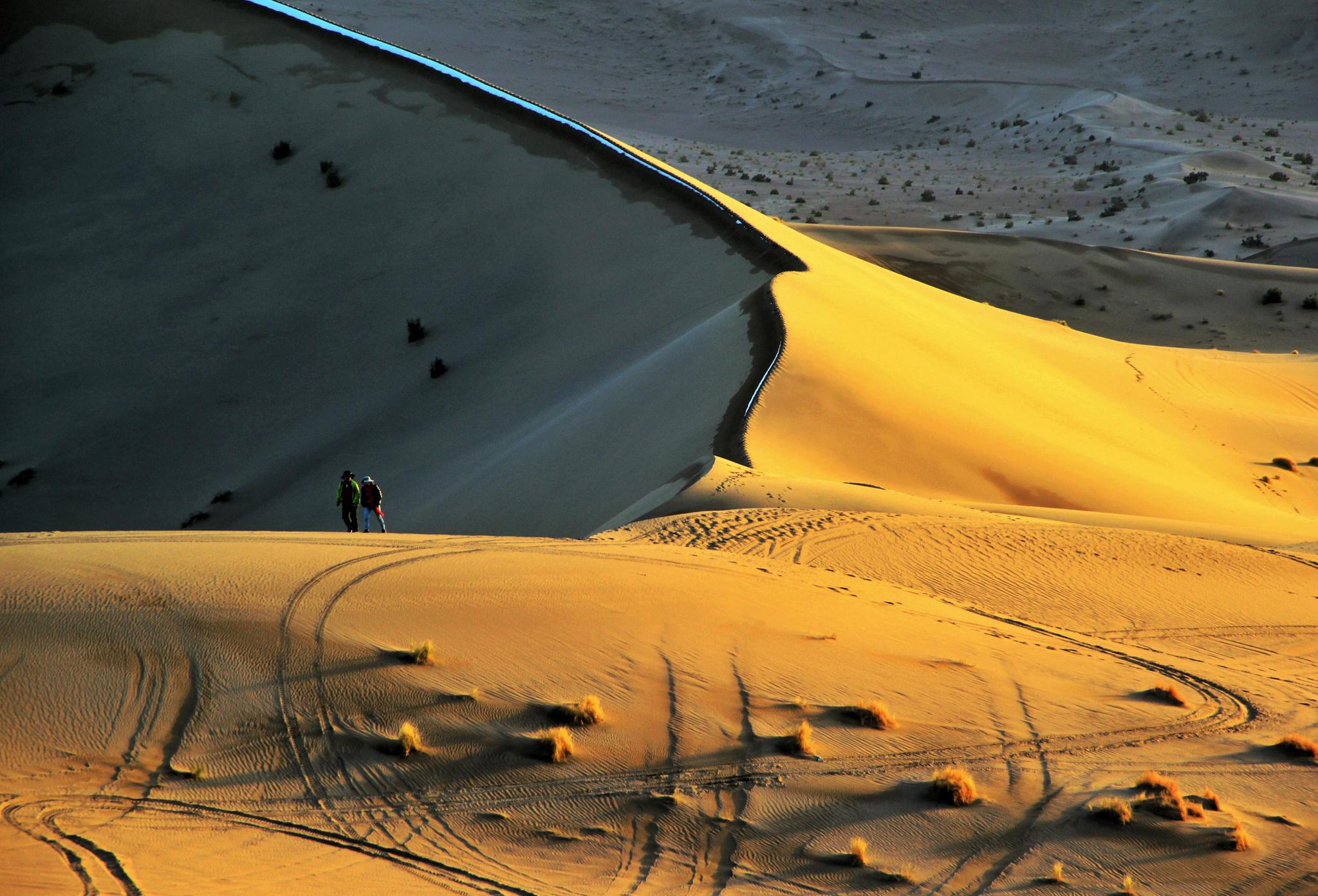 飓风黄沙遮天蔽日的沙尘暴是从哪来的沙尘暴带来的不仅仅是灾害