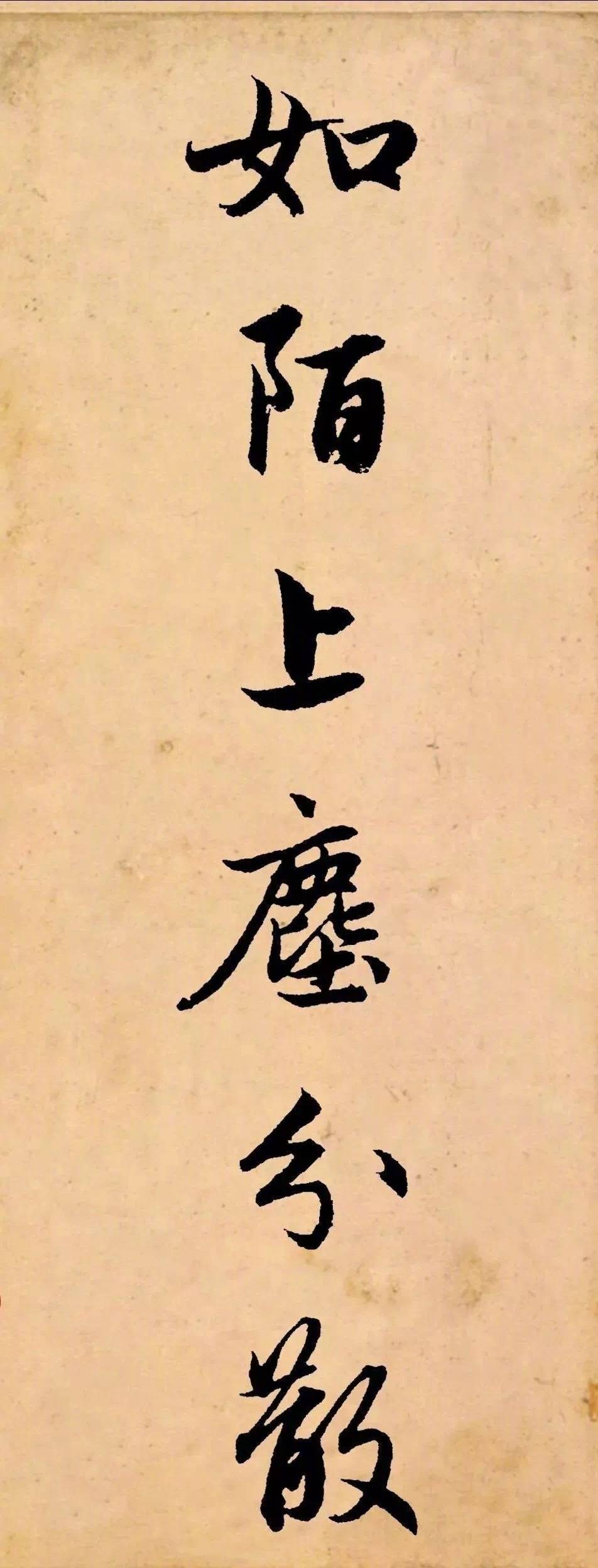 人生无根蒂