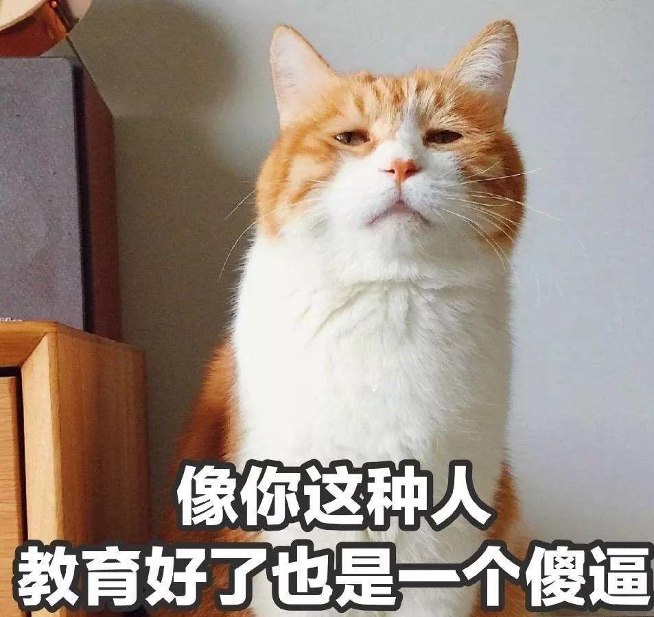 我就想问问你,百万一口的巧克力好吃不?