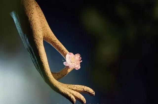 在一滴眼泪里,闭关修行