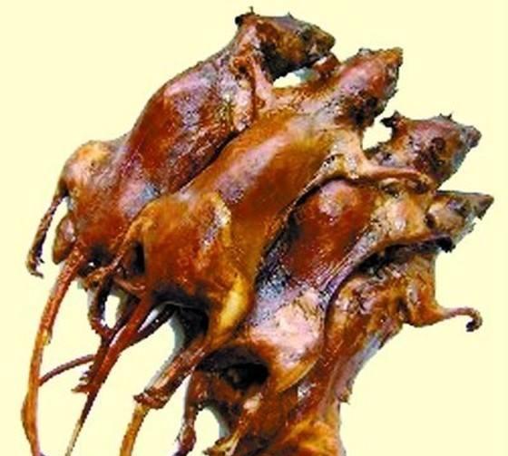 有些地区的人什么都敢吃,看完非洲街边这些小吃,他们还敢吃吗|小吃|蝙