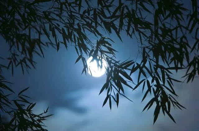 深林人不知明月来相照王维