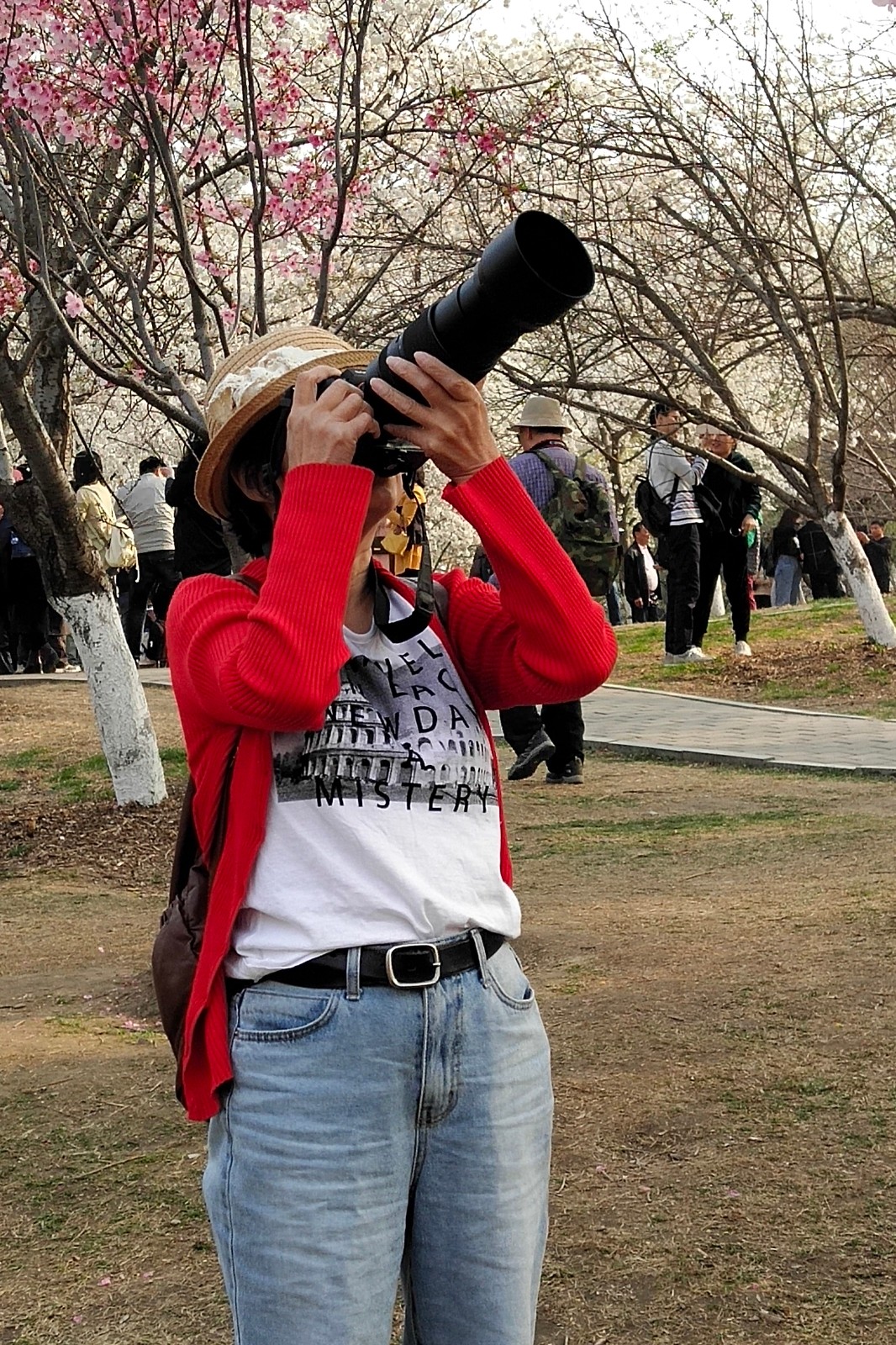 玉渊潭公园,两位摄影师在高空拍摄樱花海,引众多游客围观拍照_新浪