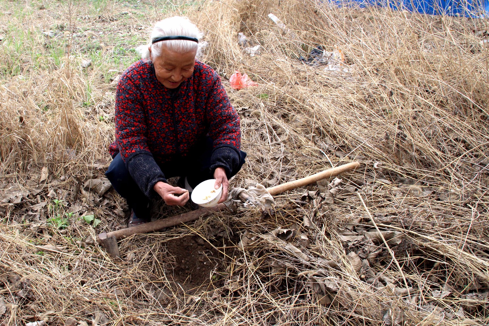 老人"自垦荒地"种菜,不仅绿色纯天然,还能吃到一种情怀