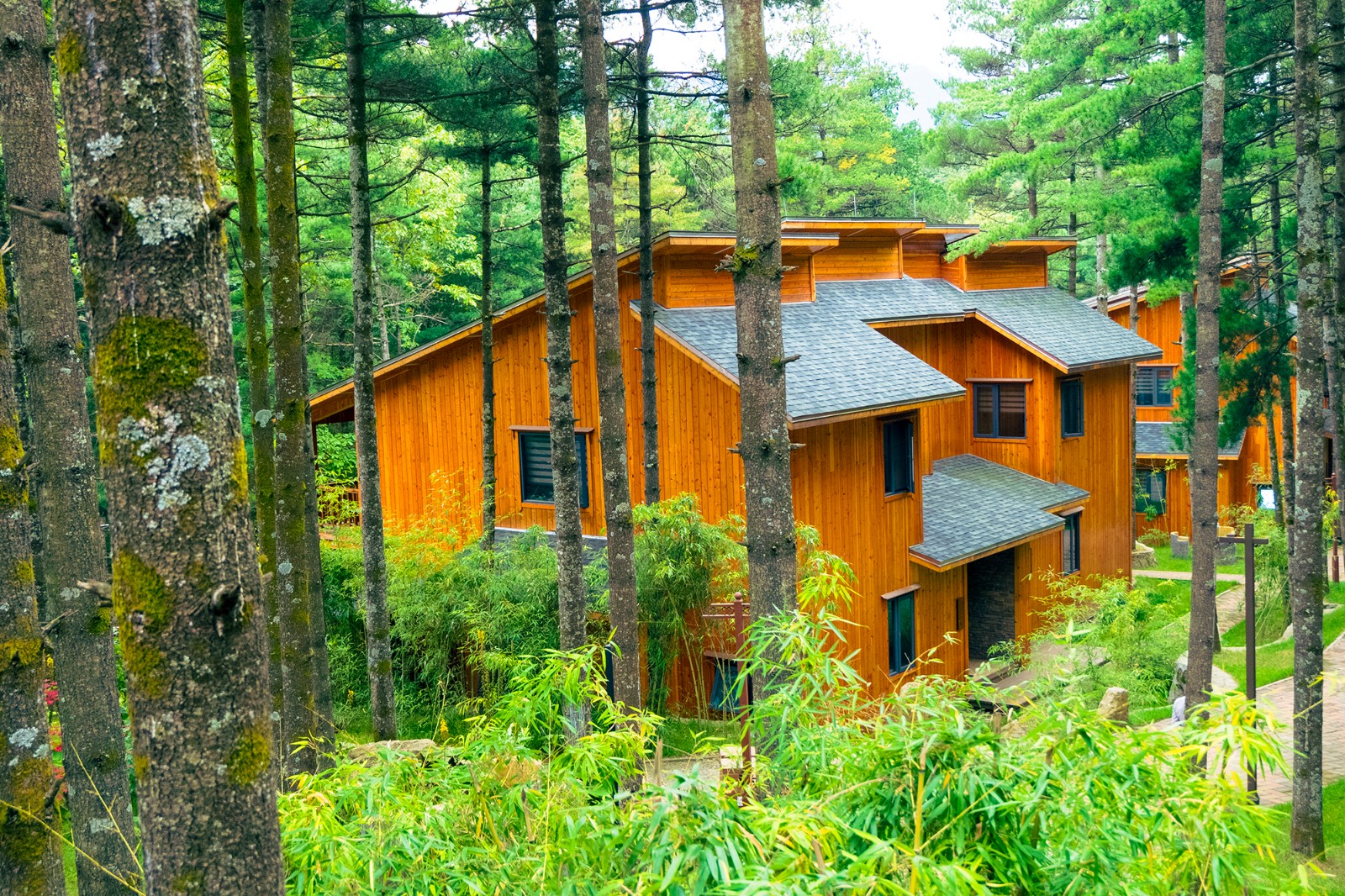 洛阳白云山的森林度假木屋