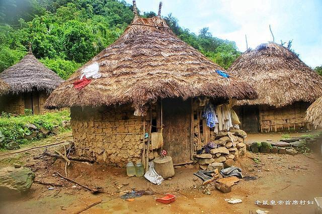 哥伦比亚原始部落:身高不超150厘米,14岁结婚生子,越穷越多生