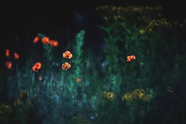 真正的爱到底是什么,如果可以从头来过你是否