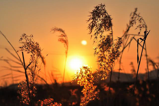 摄影是光影的艺术初学者如何用好逆光