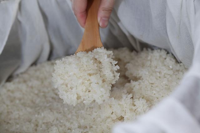 米酒发烧友:好喝的米酒,离不开好的蒸米技术|发烧