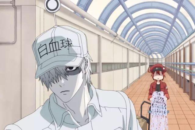 惊动b站官方,"去见血小板"的梗究竟出自哪一部动画?