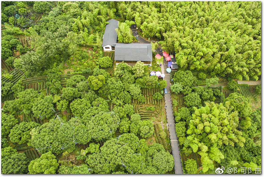 上有天堂,下有苏杭.在苏州一角的树山村,村中有三宝