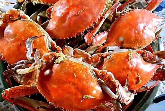 教你做好吃的清蒸海蟹,每一只都肥美完整,不掉腿不流黄