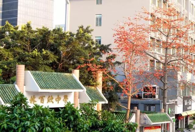 重磅汕头经济特区林百欣中学获批复办初中