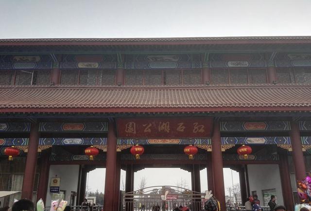 临沂印记:多年木去红石湖,模样变得认不出