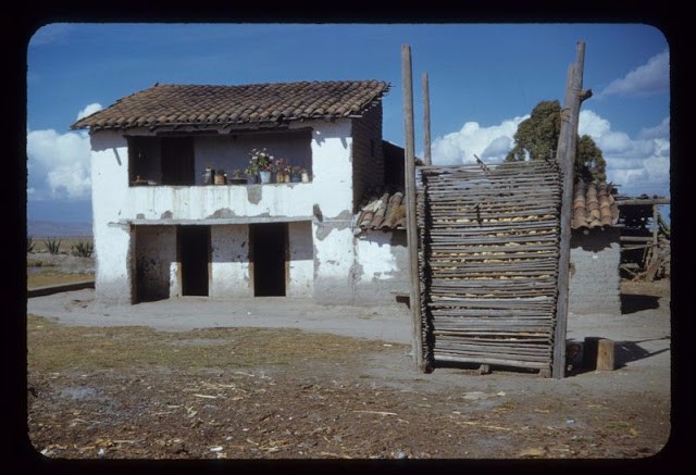 老照片:1950 年代的墨西哥日常(1)