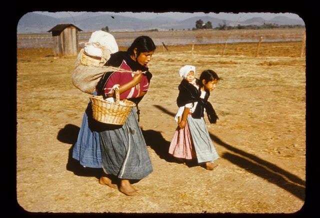 老照片:1950 年代的墨西哥日常(5)