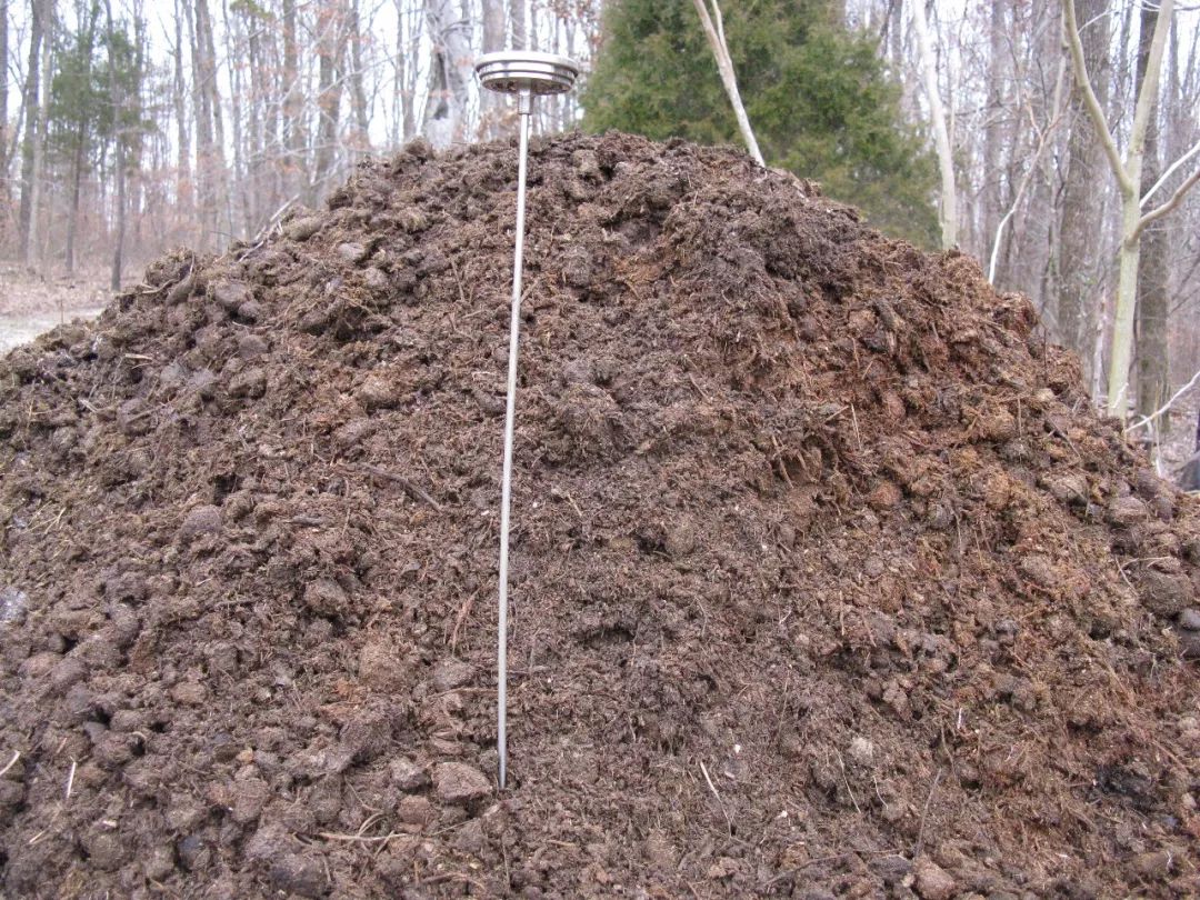 动物的粪便变成促进植物生长的堆肥两三个月就能变成健康的肥料