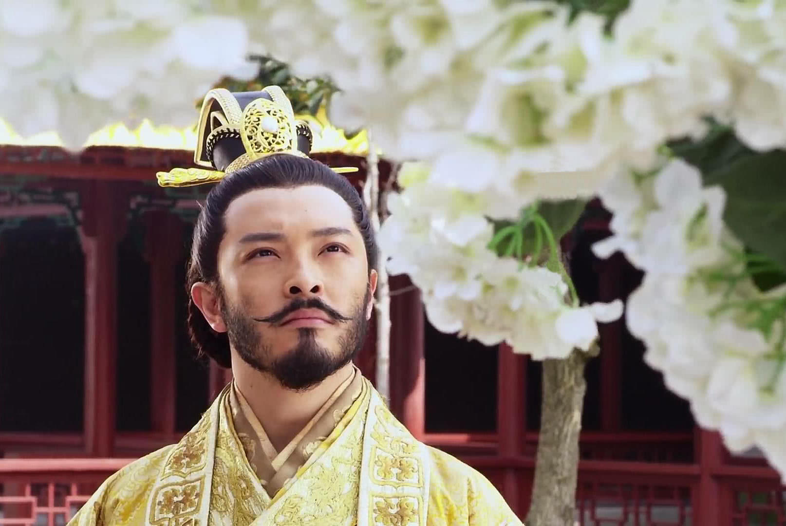 这个皇帝不传皇位给自家人,反而给了外人,这是为何?