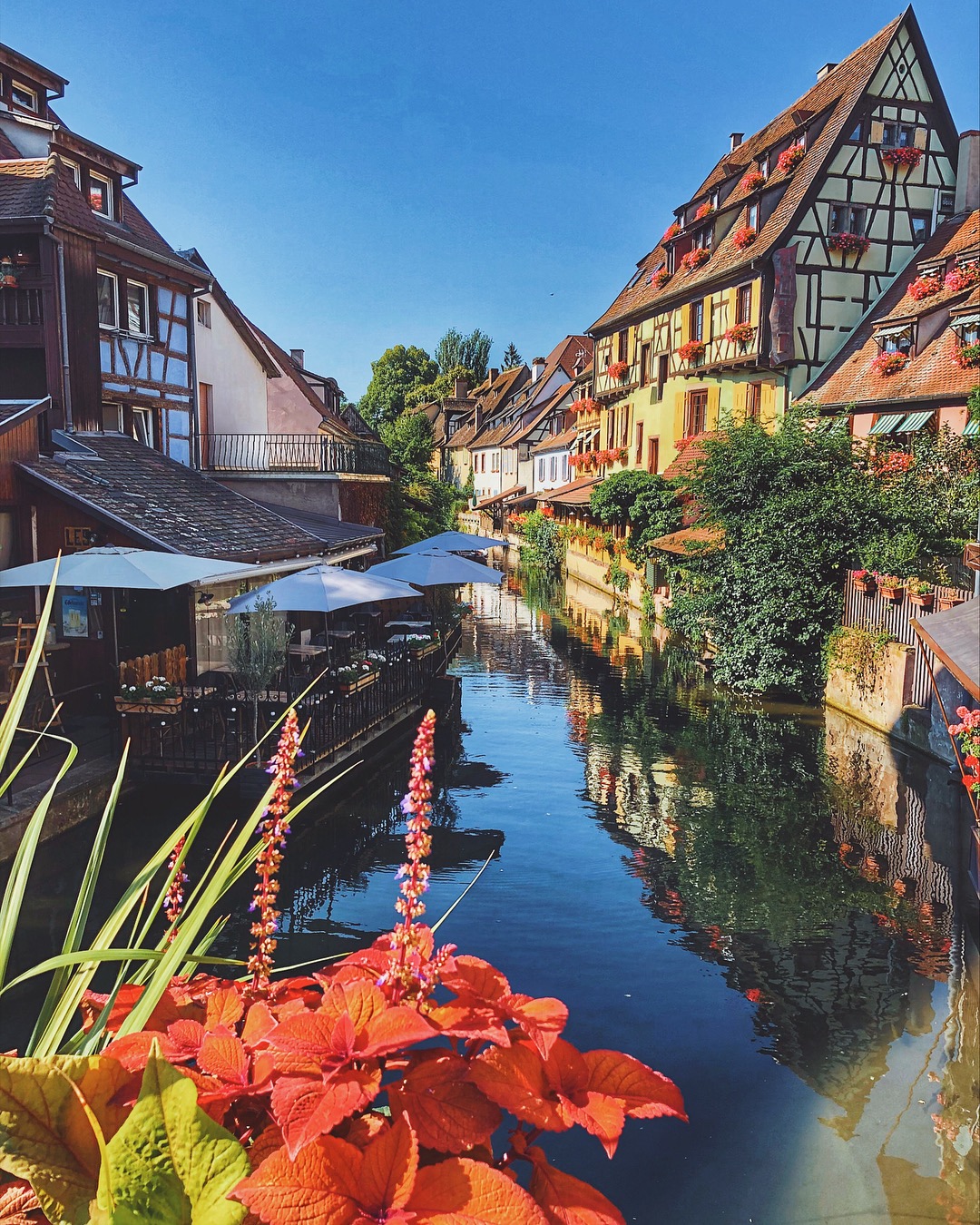 法国最美小镇科尔马,葡萄酒风情小镇,《中餐厅》节目组录制地