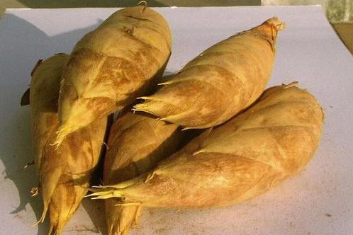 舌尖上的爽甜!被誉为平洲林岳的"镇村之宝"——吊丝丹竹笋!