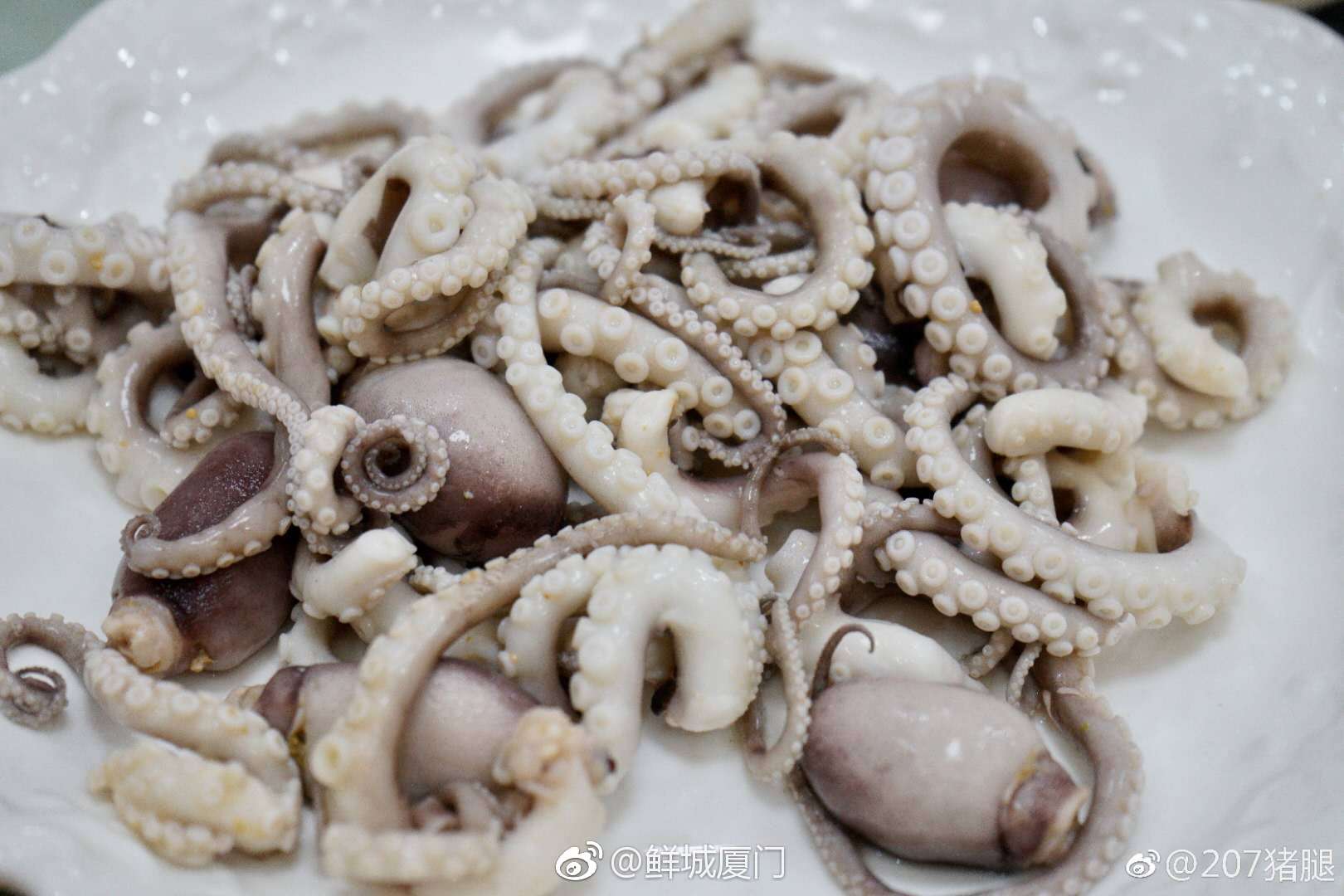 贝类拼盘,白灼虾,白灼章鱼,紫菜海蛎煲,清蒸包公鱼,都是非常鲜美