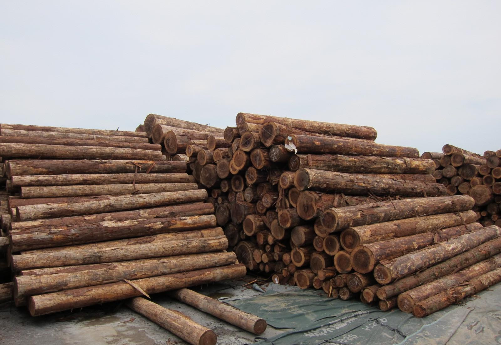 以前日本从中国大量采购木材,如今中国大量进口日本木材