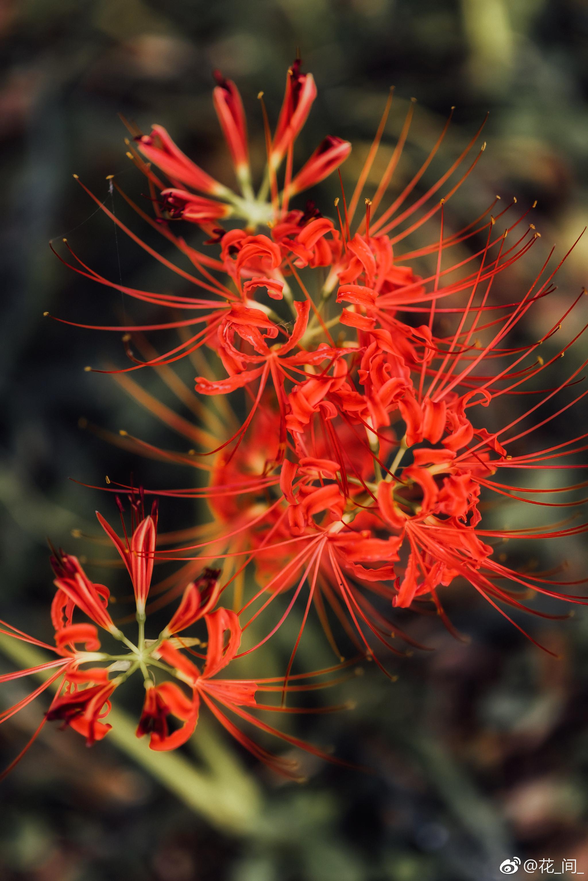 拍完客片顺便撸了几张花花照片