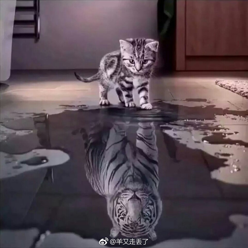 内心强大才是真正的强大