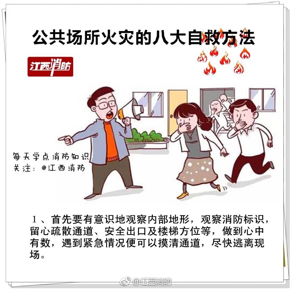 鲨鱼在紧张的时候为何会呕吐？...