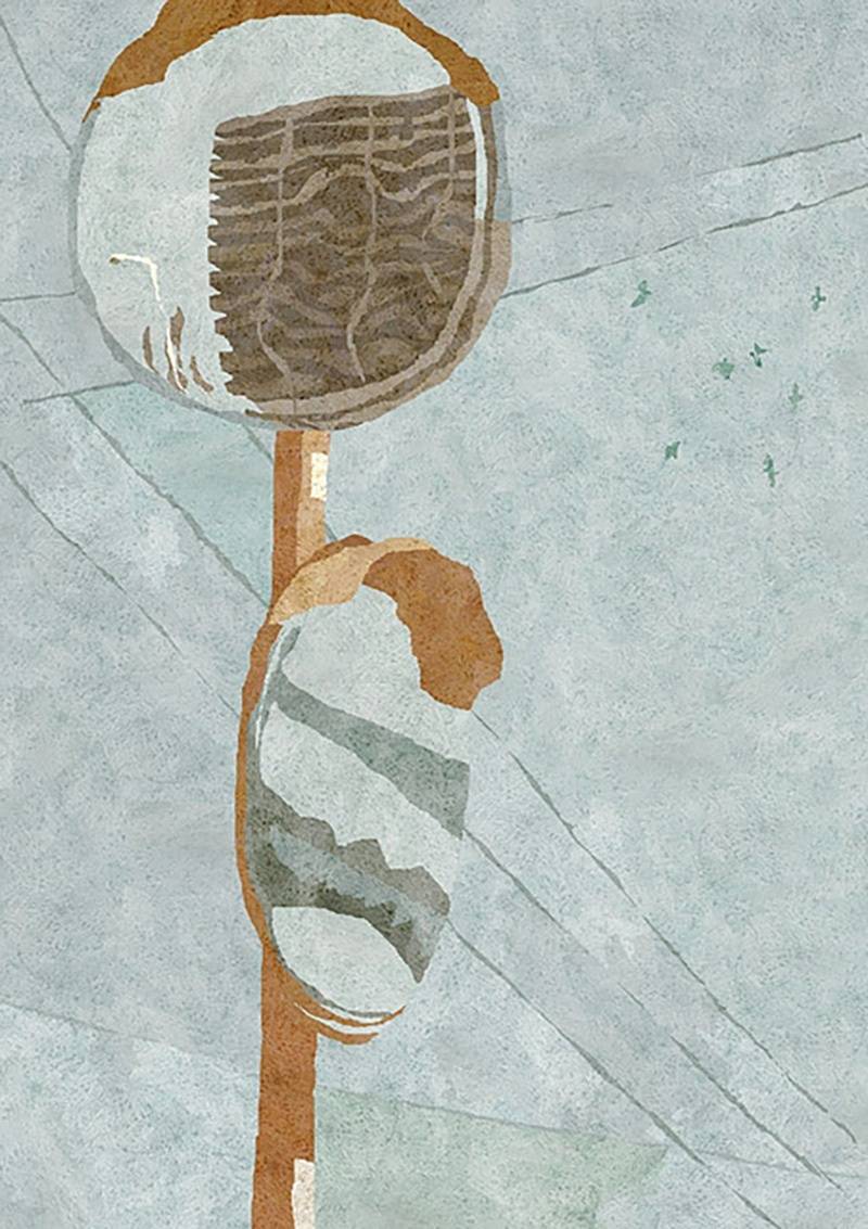 一组慵懒风夏季主题插画masaakiyamamoto