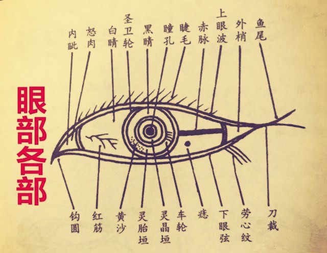 面相秘诀眼有三白不伤自己必伤他人