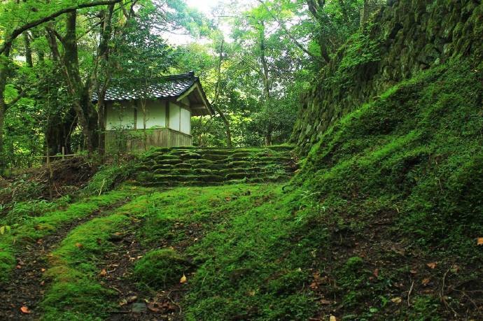 闲亭倚山崖,青苔满石阶