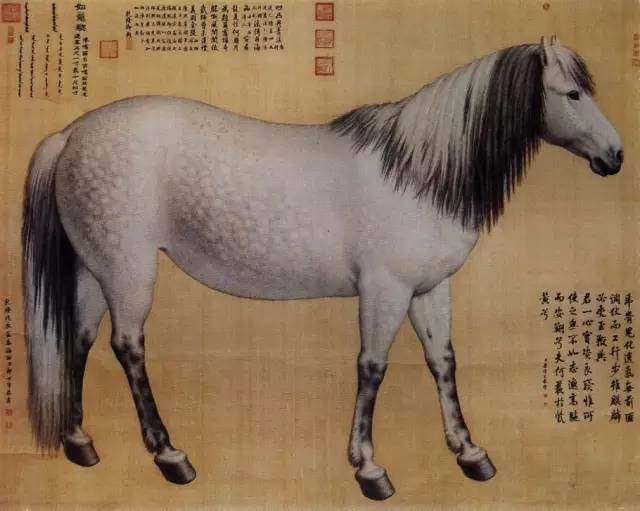 清 郎世宁《十骏图》之霹雳骧