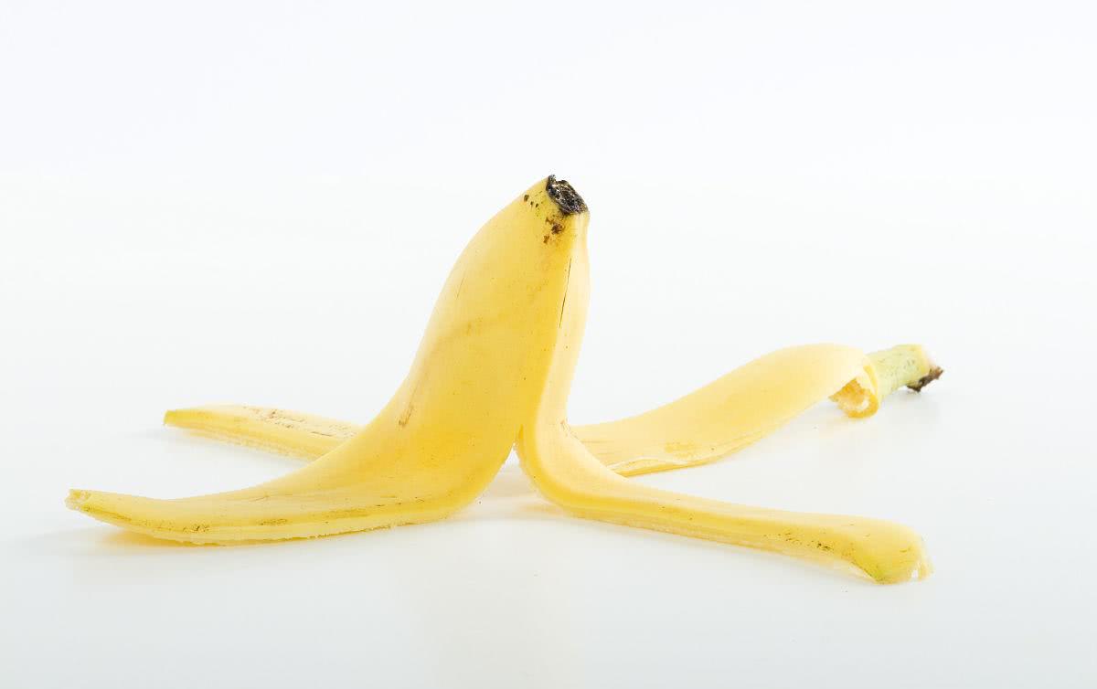 香蕉皮有这么大的能量,用来养花跟喝了药一样,长疯了!