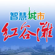 智慧红谷滩