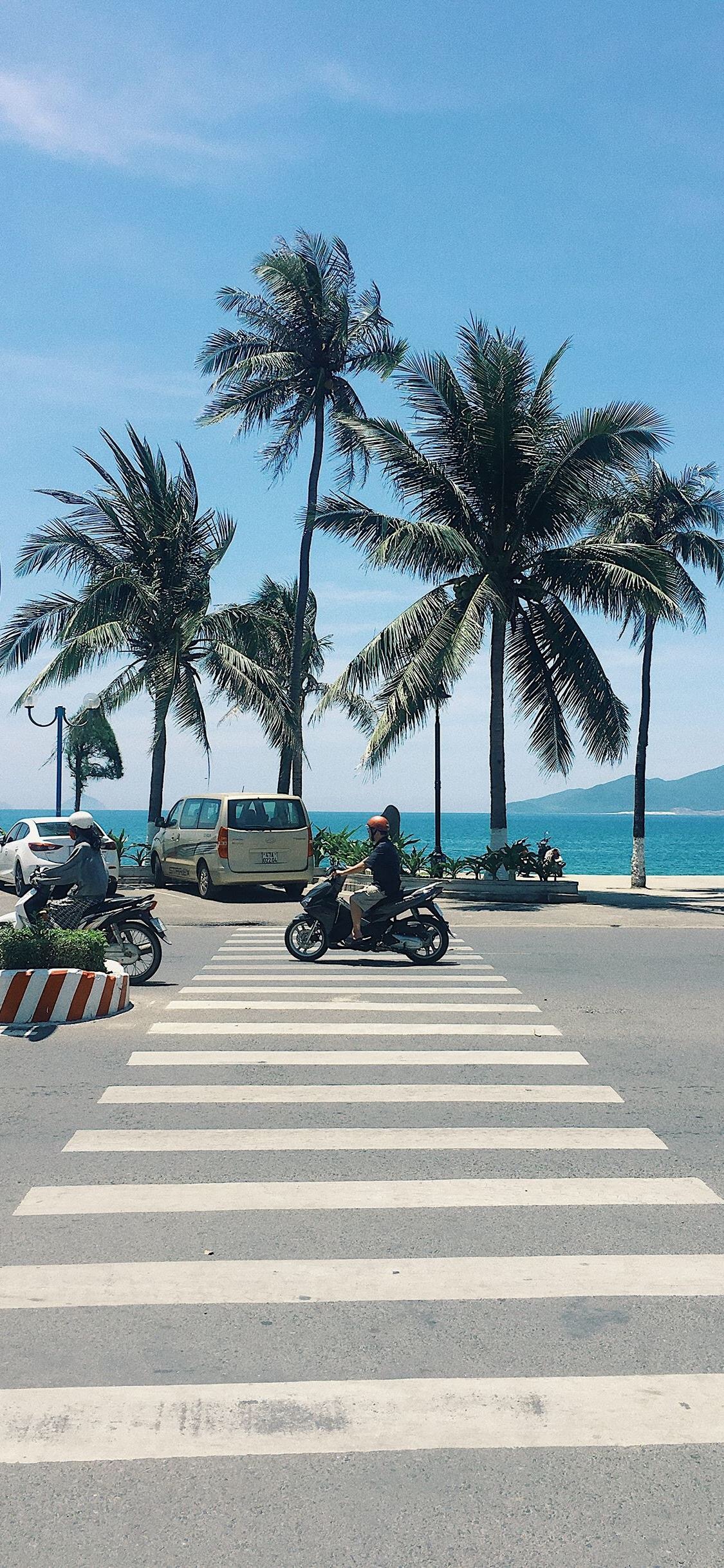 funnyhoneymoney以上就是我的理想生活了